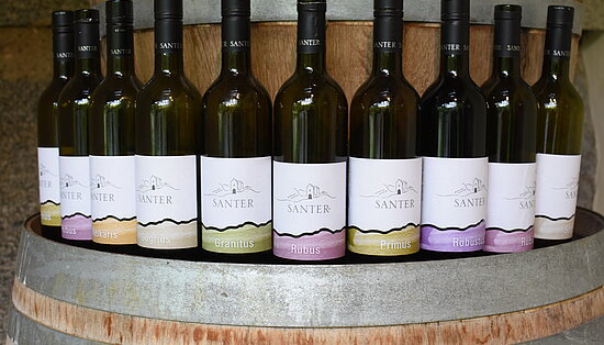 Weinprobe & Direktverkauf