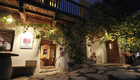 Weinprobe & Direktverkauf