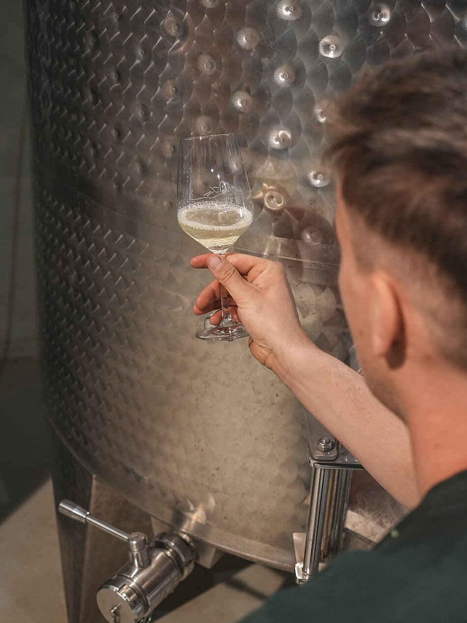 Weingut & Weine