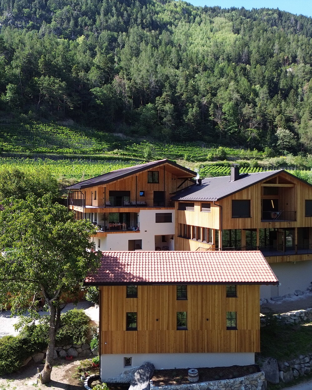The History of Our Organic Winery in South Tyrol | Weingut Santer