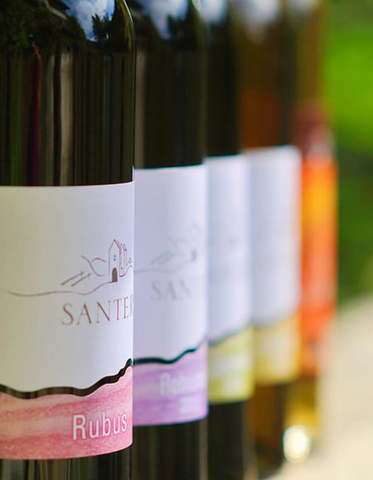 Biologisch aus der Vergangenheit in die Zukunft