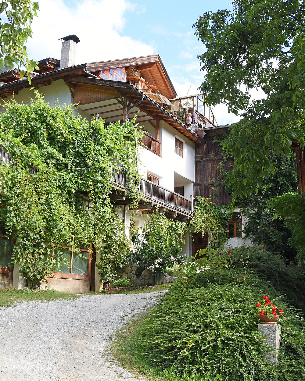 Die Geschichte des Weinguts