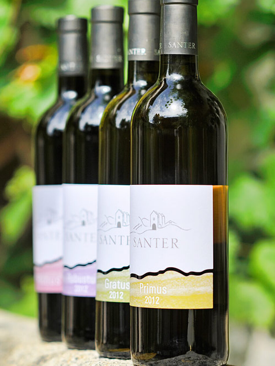 Weingut & Weine Weingut & Weine
