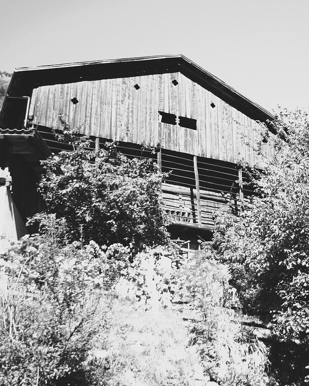 Die Geschichte des Weinguts