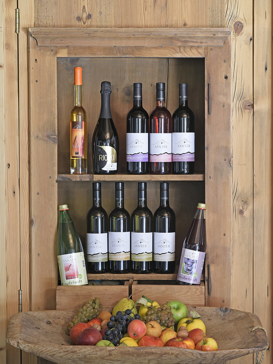 Weingut & Weine Weingut & Weine