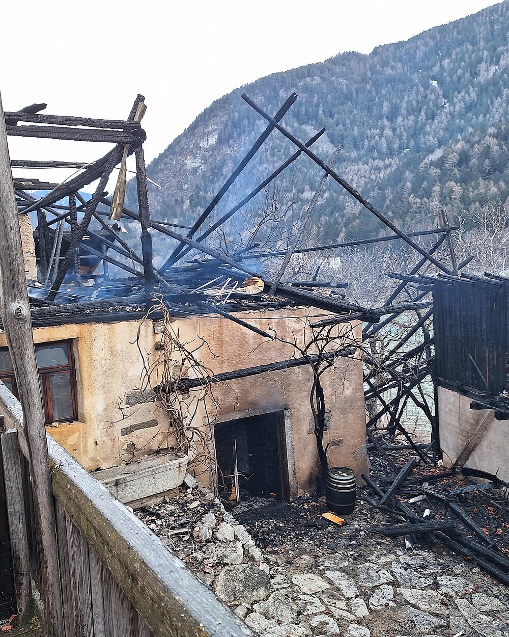 Die Geschichte des Weinguts