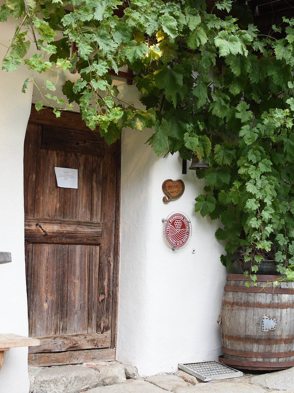 Weingut & Weine Weingut & Weine