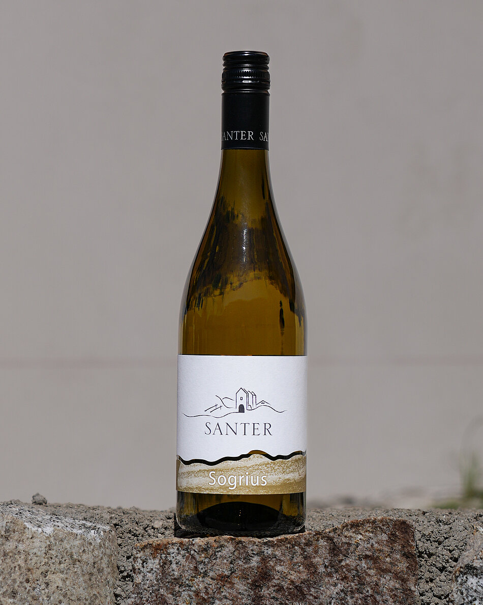 Unsere Weine Unsere Weine