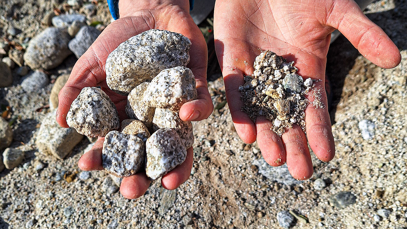 Ferienwohnungen am Weingut