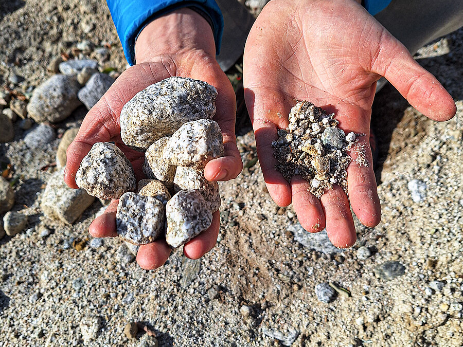 Ferienwohnungen am Weingut